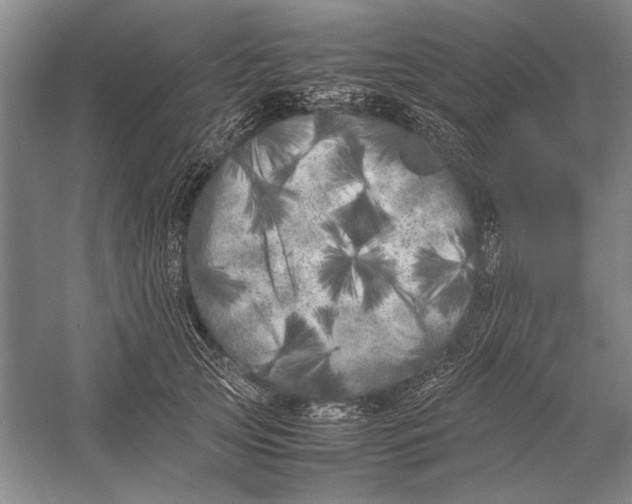 X0000052970753200508051014