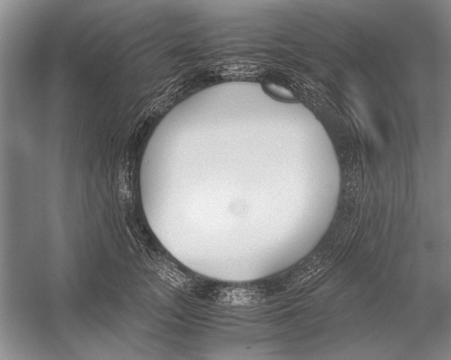 X0000052970755200508051014