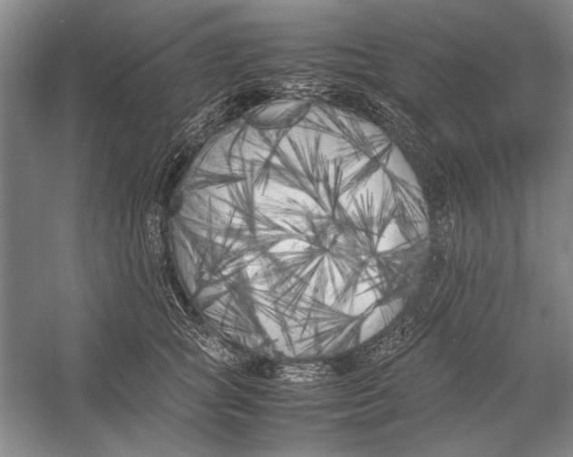 X0000052970757200508051014