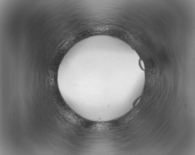 X0000052970758200508051014