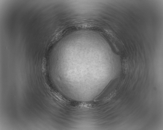 X0000052970760200508051014