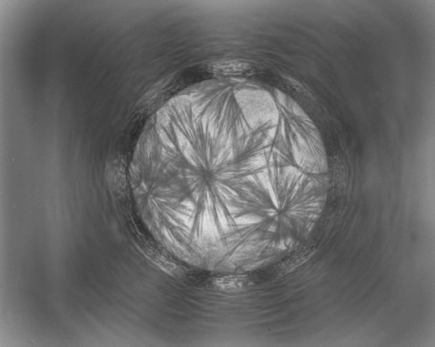 X0000052970761200508051014