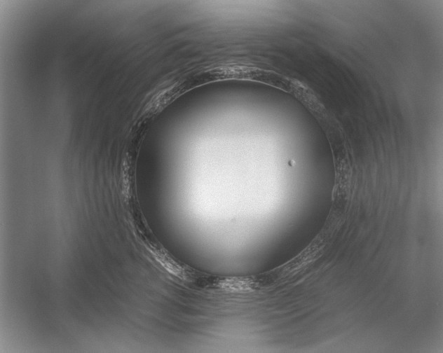 X0000052970762200508051014