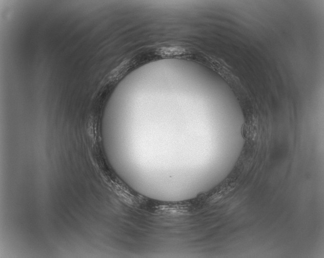 X0000052970763200508051014