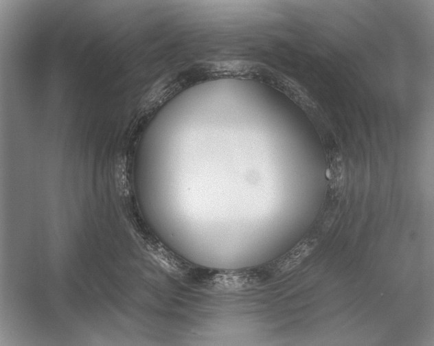 X0000052970764200508051014