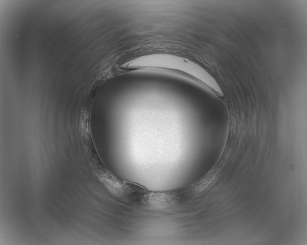 X0000052970766200508051014