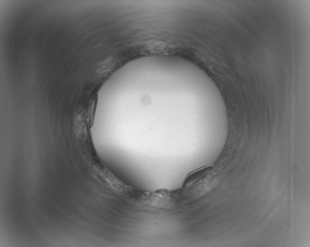 X0000052970768200508051014