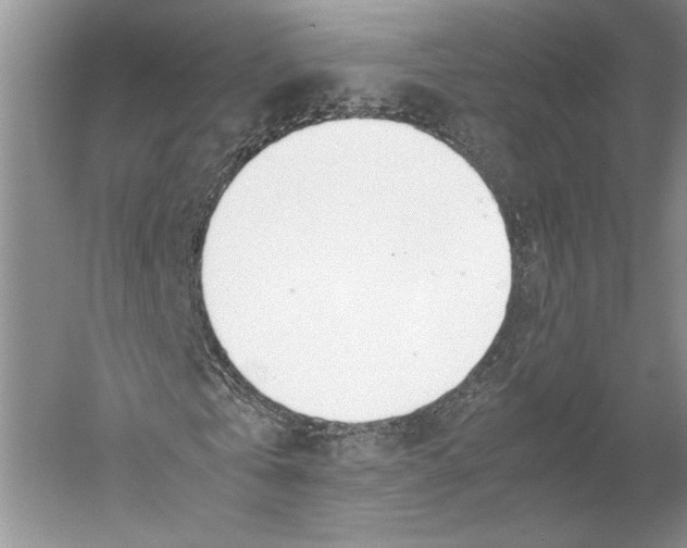 X0000052970769200508051014