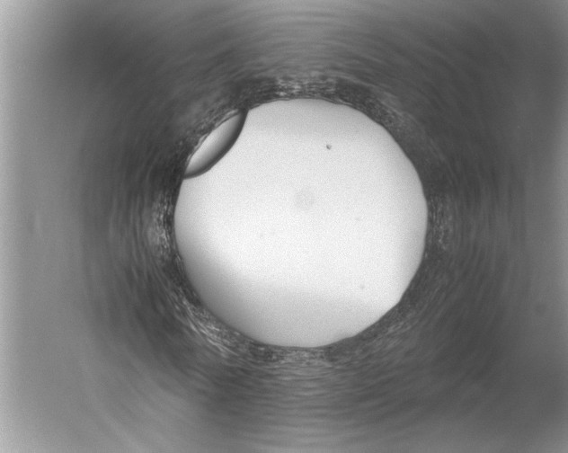 X0000052970770200508051014