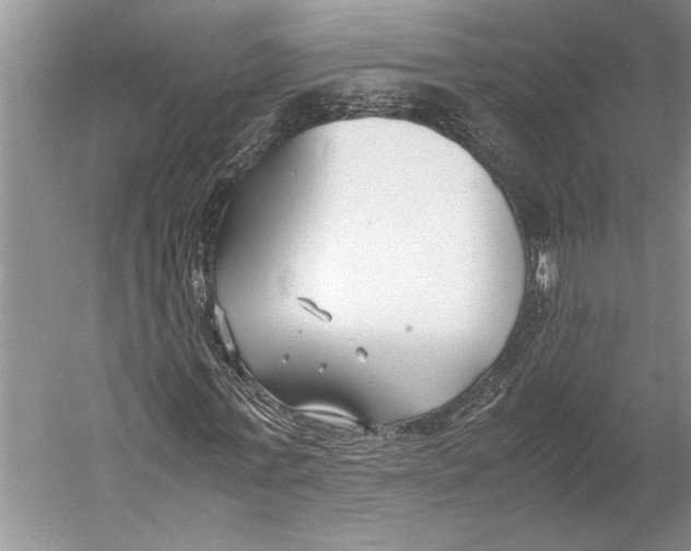 X0000052970771200508051013