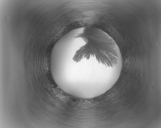 X0000052970772200508051013