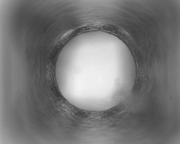 X0000052970773200508051013