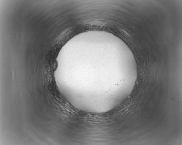 X0000052970774200508051013