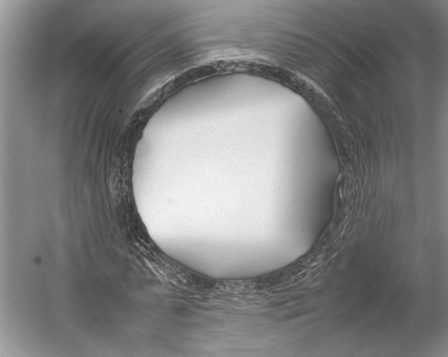 X0000052970775200508051013