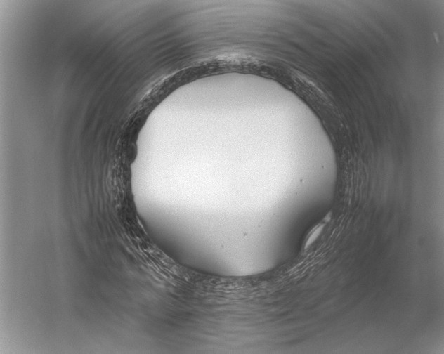 X0000052970776200508051013