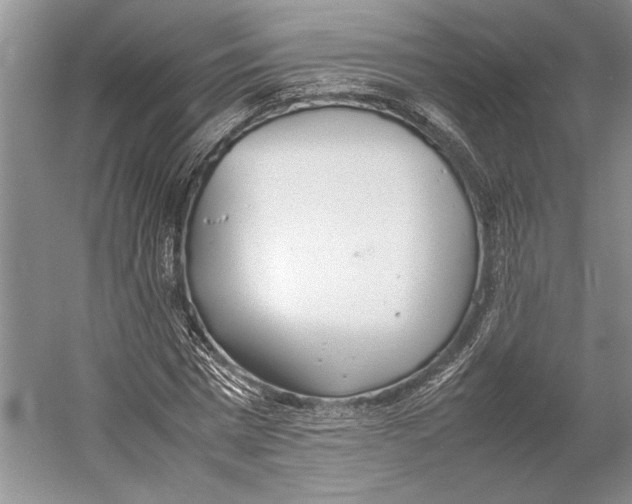 X0000052970777200508051013