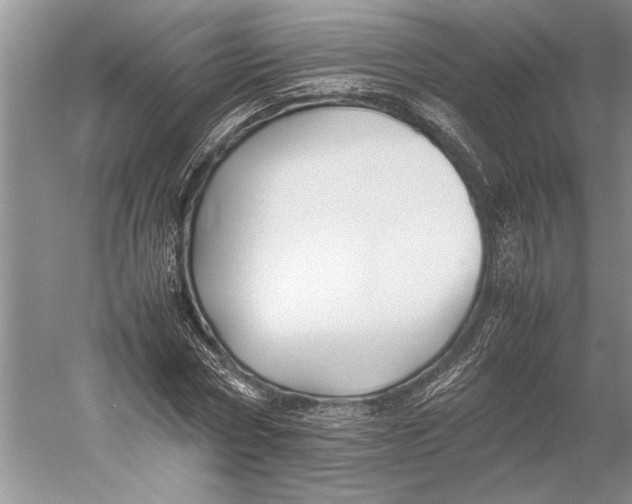 X0000052970778200508051013