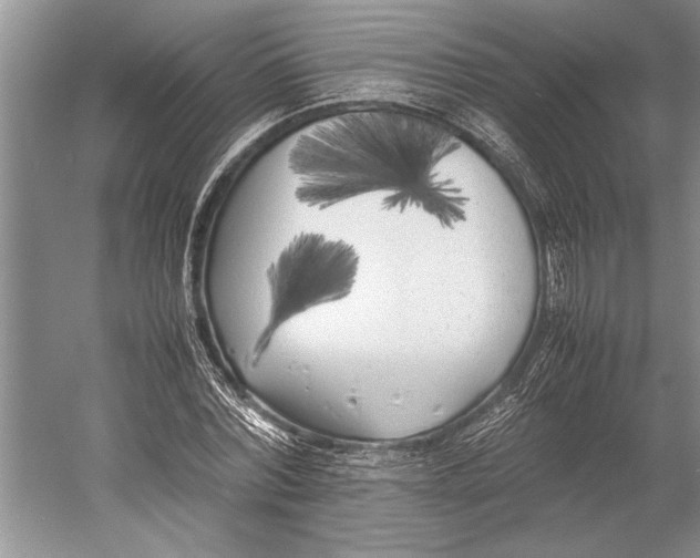 X0000052970780200508051013