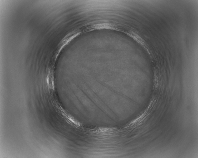 X0000052970782200508051013