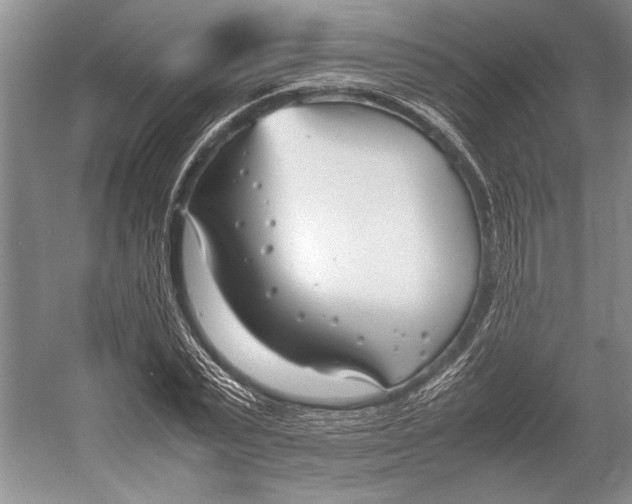 X0000052970783200508051013