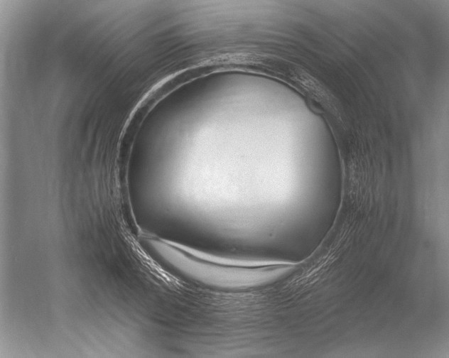 X0000052970784200508051013