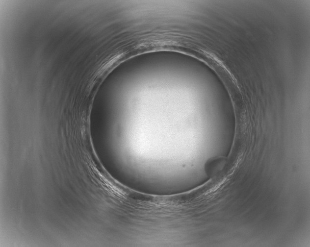 X0000052970785200508051013