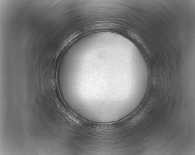 X0000052970786200508051013