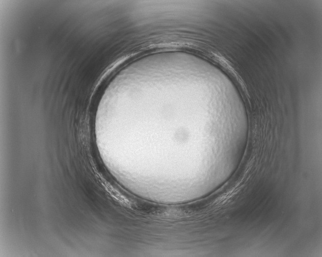 X0000052970787200508051013