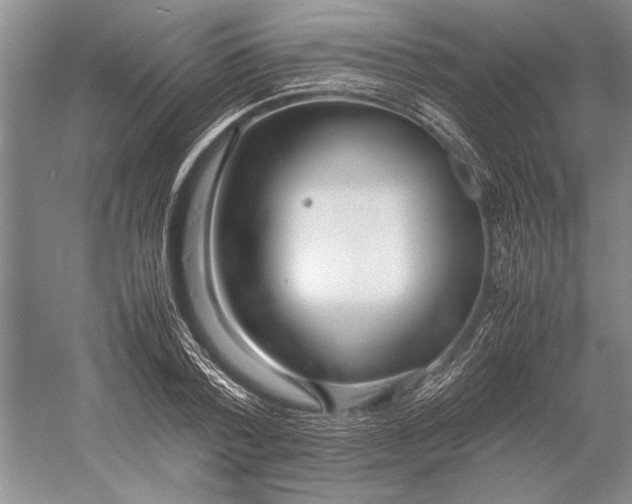 X0000052970788200508051013