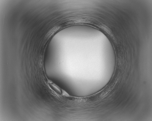 X0000052970793200508051013