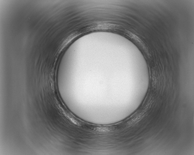 X0000052970794200508051013