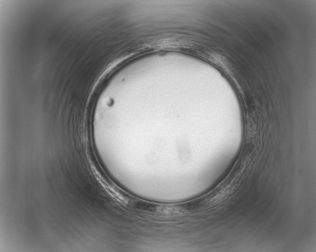 X0000052970795200508051013