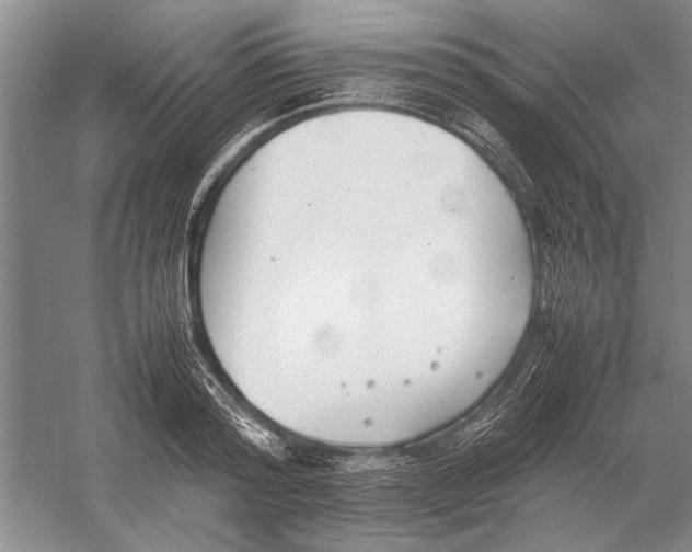 X0000052970796200508051013