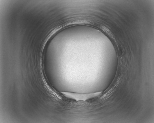 X0000052970797200508051013