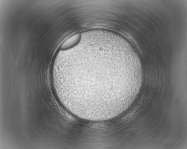 X0000052970798200508051013