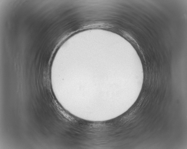 X0000052970800200508051013