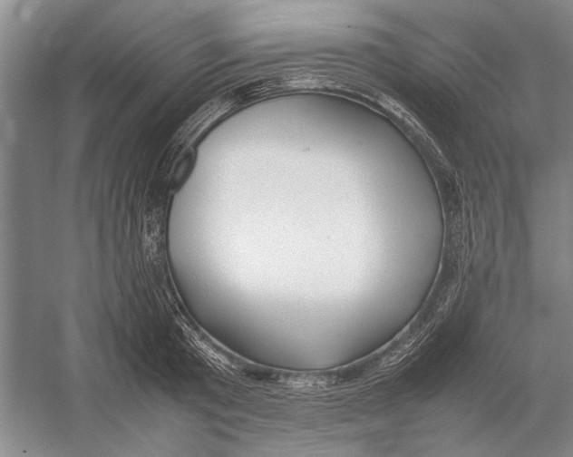 X0000052970801200508051013