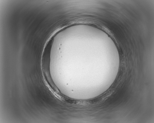 X0000052970803200508051013