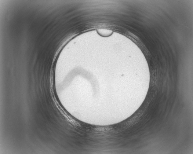 X0000052970804200508051013