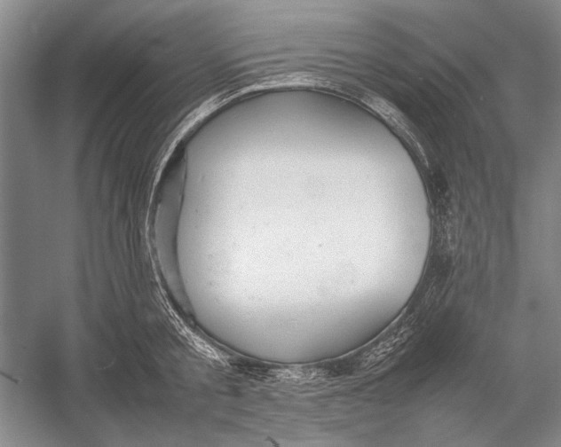 X0000052970805200508051013