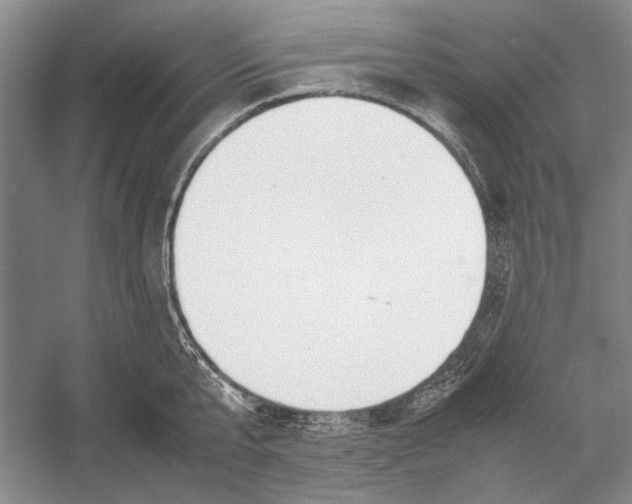 X0000052970807200508051013