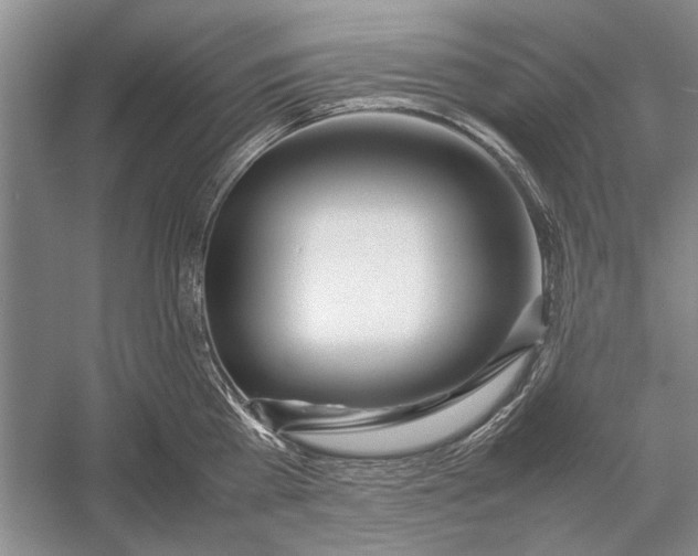 X0000052970809200508051013