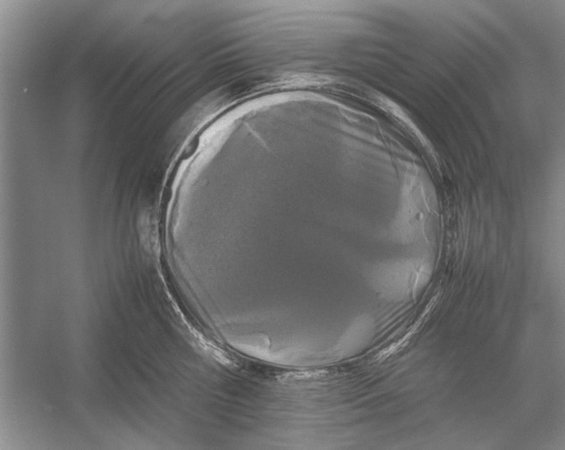 X0000052970810200508051013