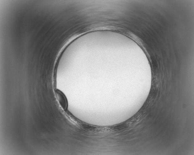 X0000052970811200508051013