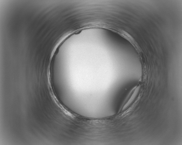 X0000052970812200508051013