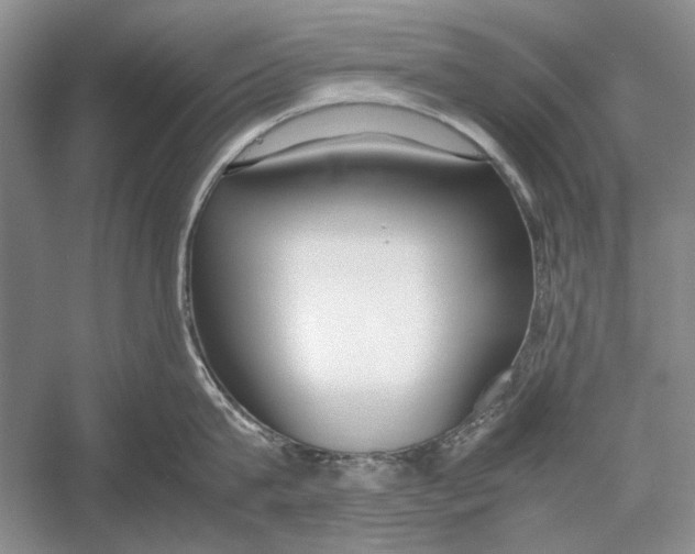 X0000052970815200508051013