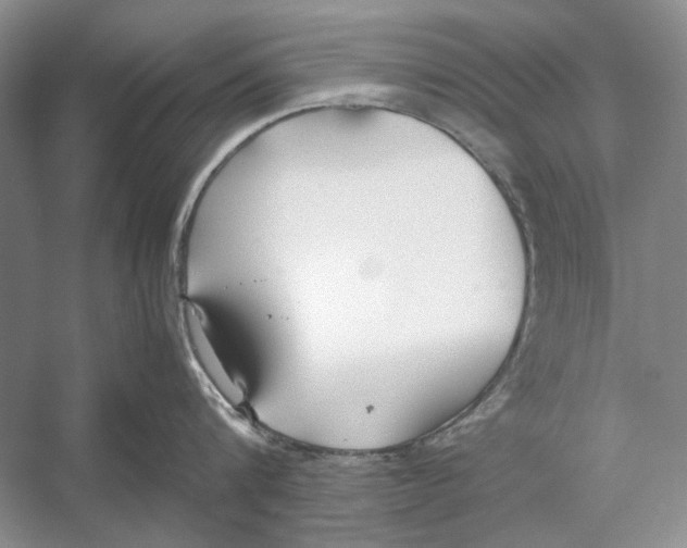 X0000052970816200508051013