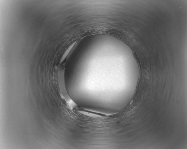 X0000052970818200508051012