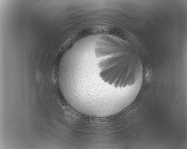 X0000052970819200508051012