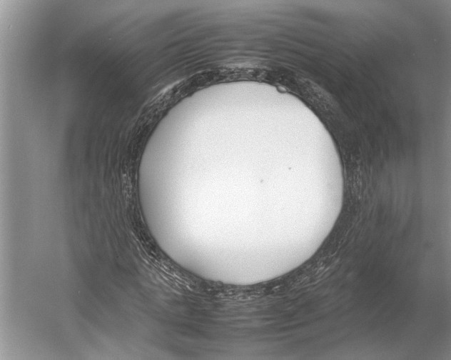 X0000052970821200508051012